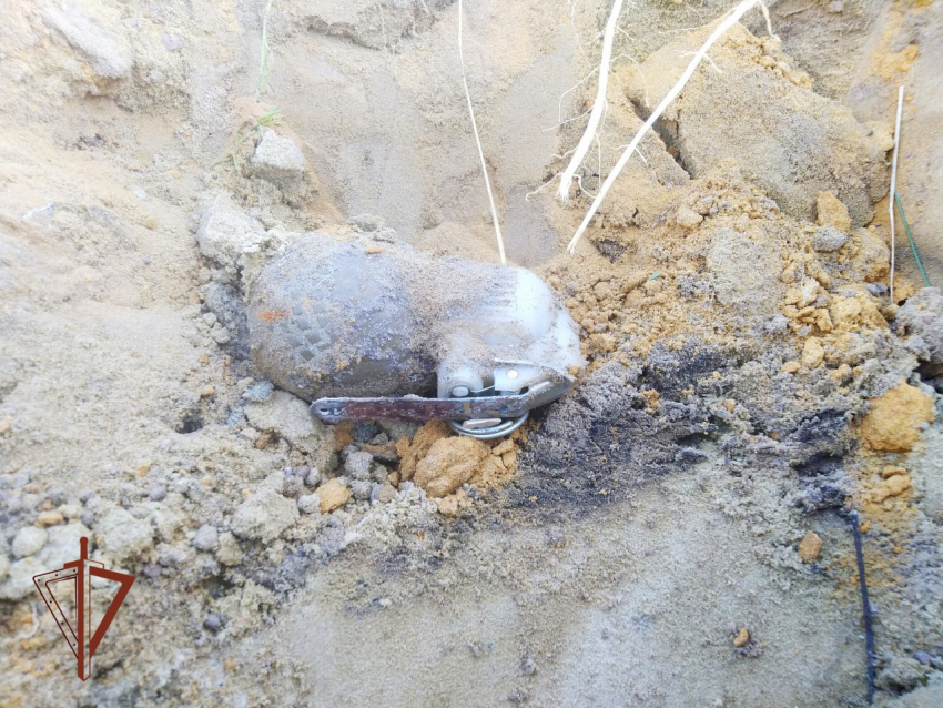 Боевую гранату нашли на Бокинских прудах под Тамбовом