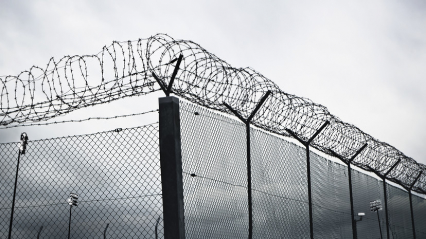 Тамбовские заключённые написали письмо Шойгу с просьбой отправить их на фронт