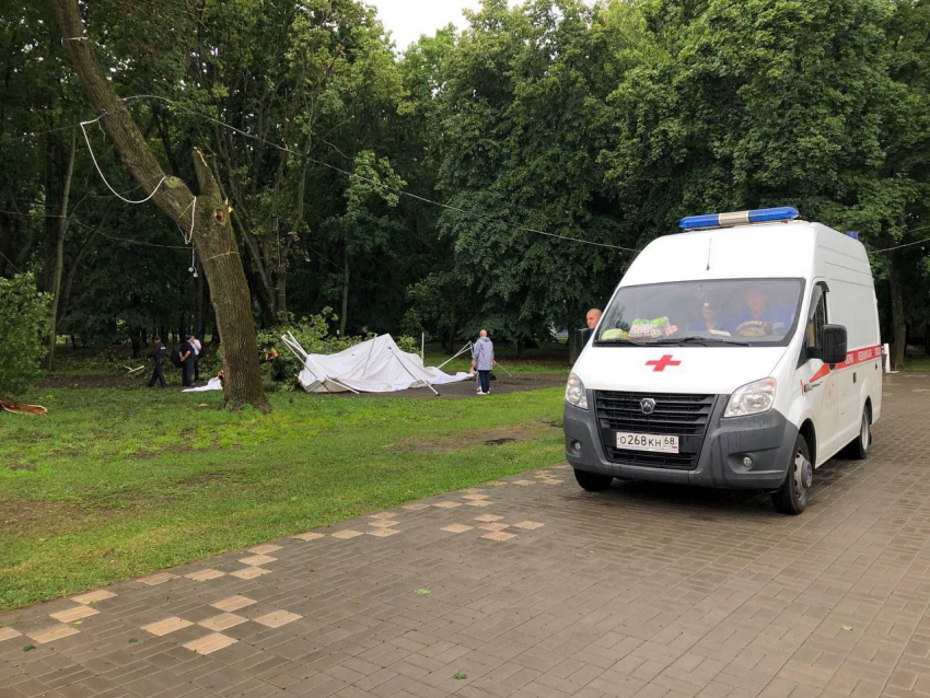 Виновница получила 3 года условно за дерево, убившее в Асеевском женщину 