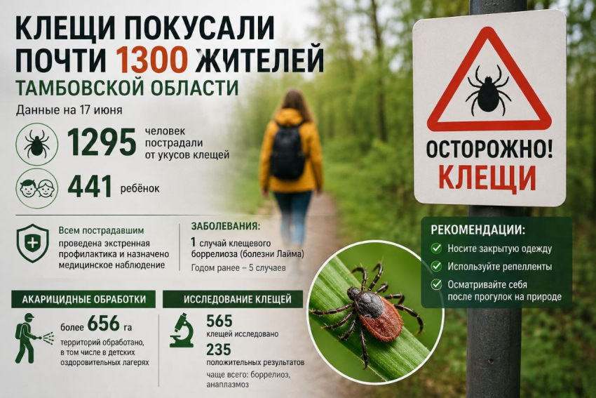 С начала сезона клещи покусали почти 1300 жителей Тамбовской области