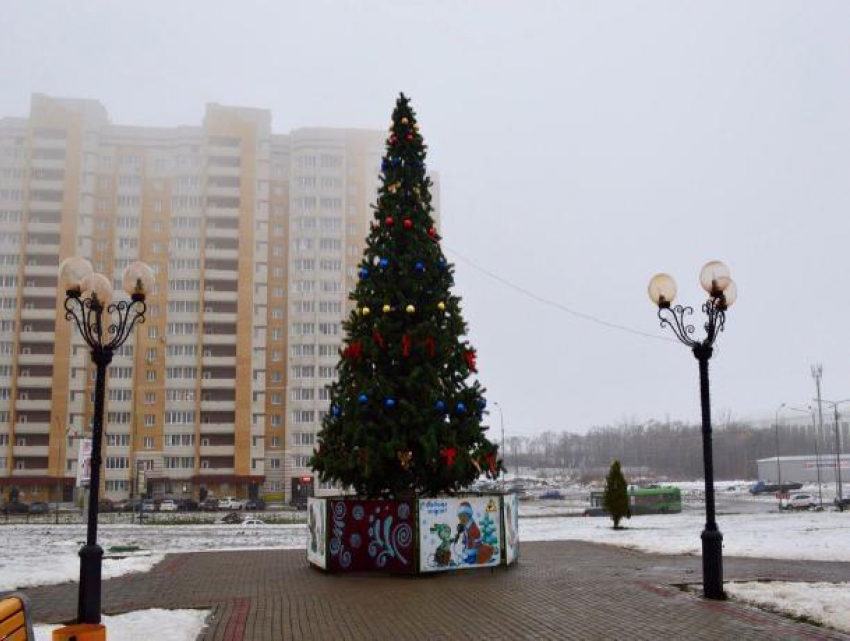 Во Французском сквере засияла разноцветными огнями новогодняя ёлка