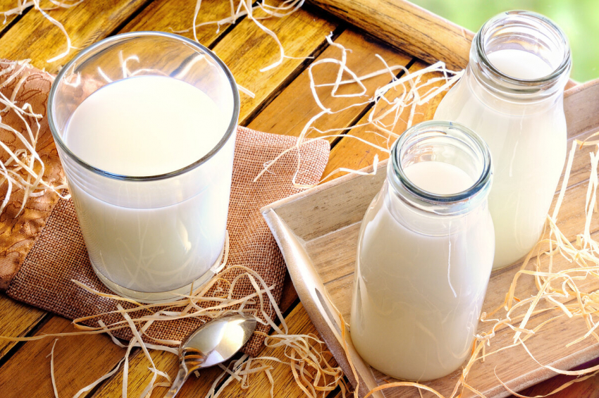 Сампурская ферма поставляет молоко для холдинга «Данон"