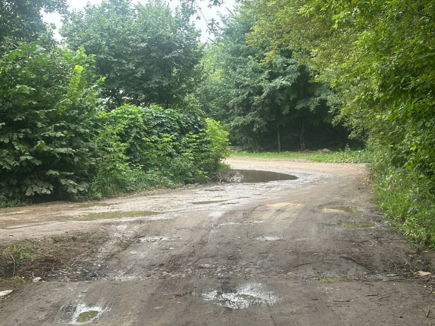 У Кривого моста дорога разбита грузовиками 