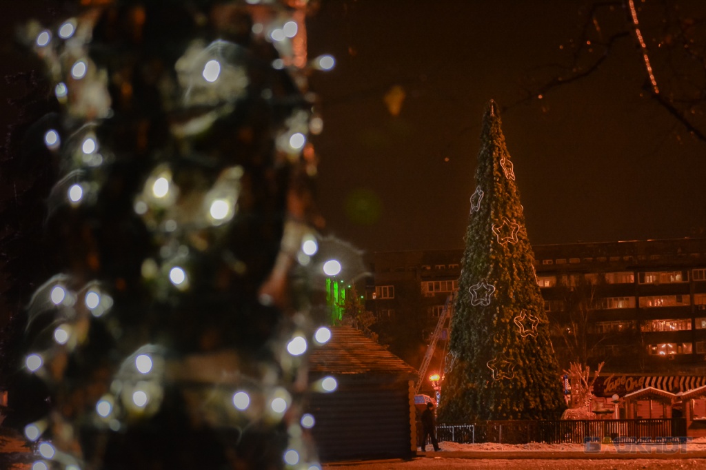 DSC_0673-1.jpg