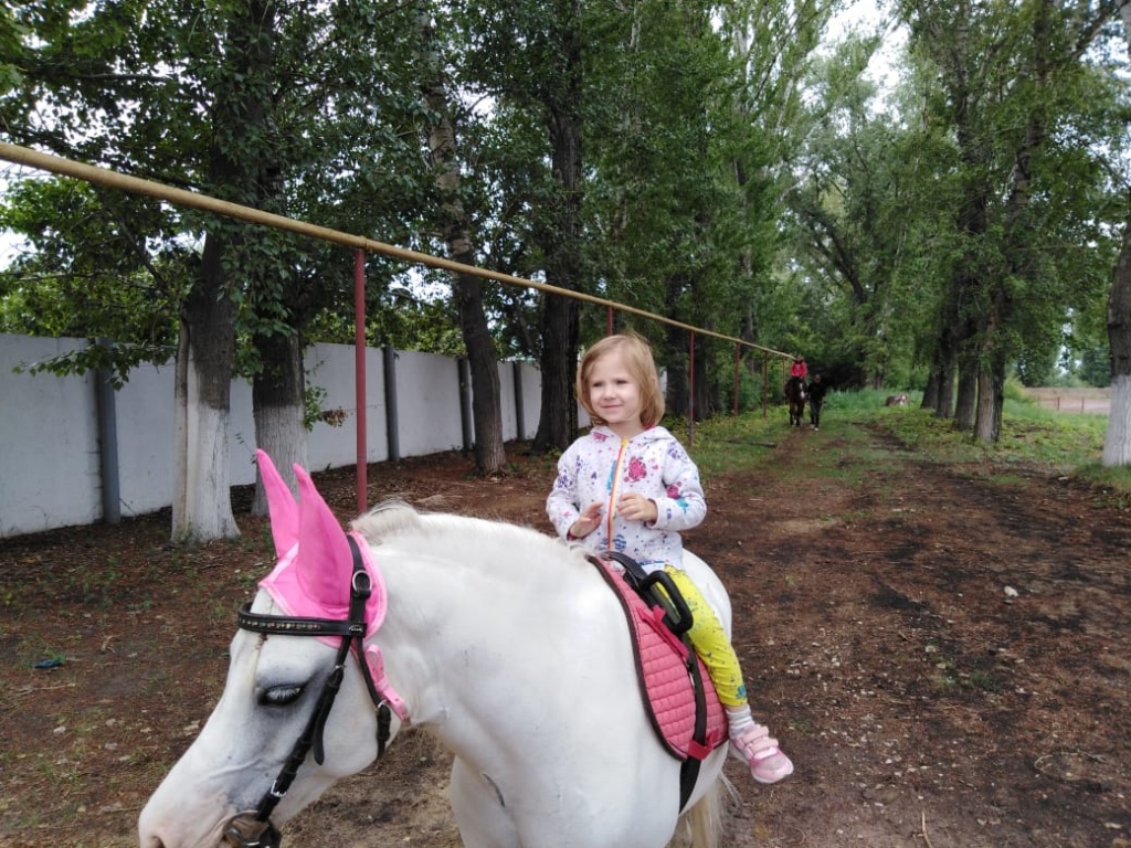 На тамбовском ипподроме в честь дня рысистого коннозаводства прошёл  легендарный заезд рысаков